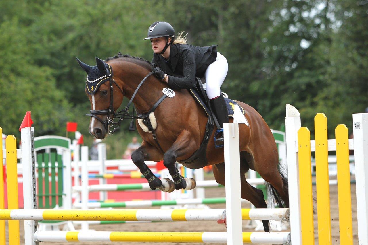 Quinn, Foto: Horse Media Wego